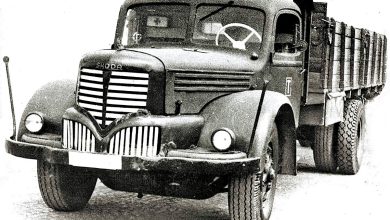 Photo of Интересные выставки прошли в городе