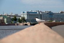 Photo of Петербург вошел в топ-10 городов